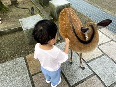 -奈良公园