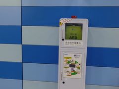 -大望路(地铁站)