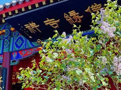 -天津市峰山药王古寺