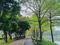 -顺峰山公园