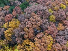 -洛阳白云山景区