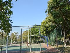 -飞来湖湿地公园