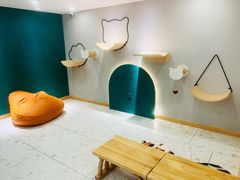-飞行喵MR PILOT|猫舍·猫咖(静安大融城店)