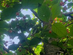 -boundaries籬苑(瑞光创意工厂-贰号院店)