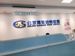 -北京观赏动物医院·24小时大型综合·猫专科·异宠专科