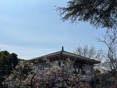 -无锡梅园公园