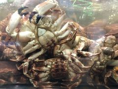 -盒马鲜生(大成店)