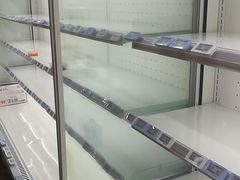 -同济大学(嘉定校区)