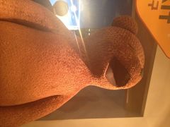 iphone_upload_pic-济州岛泰迪熊博物馆