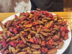 香脆蚕蛹-滇福记天麻竹荪鸡火锅