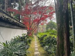 -木子山庄·安徽省老字号·中国炖锅宴