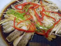 -煲来饱去冷水鱼