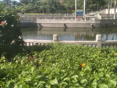 -梵天禅寺
