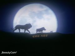 -金逸影城(大悦城IMAX激光店)