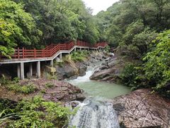 -广州白江湖森林公园