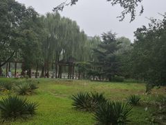 -望湖公园
