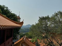 -深圳仙湖植物园