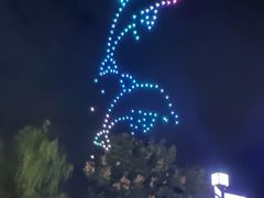 -大塘金香草谷