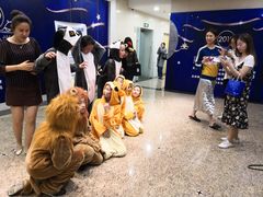 -中国福利会少年宫