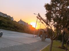 -新江湾城公园