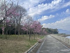 -福建鲤鱼洲酒店