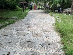 -十渡东湖港风景区