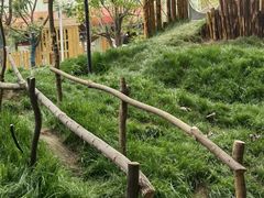 -金宝幼儿园(通州校区)
