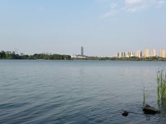 -长广溪湿地公园