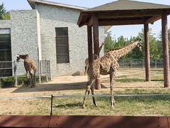 -石家庄市动物园