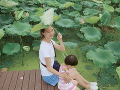 -武汉紫薇都市田园