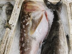 -龙宫海鲜楼(长乐漳港店)