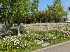 -金银湖国家城市湿地公园