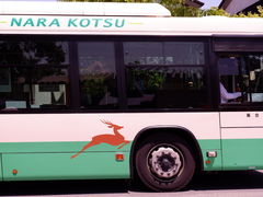 -奈良公园