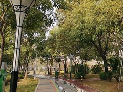-文华公园(禅城区)