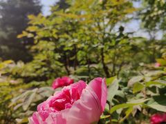 -国家植物园南园