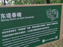 -大兴滨河森林公园