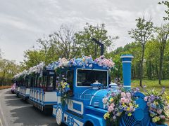 -江苏三台山国家森林公园