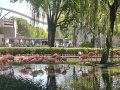 -石家庄市动物园