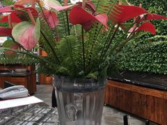 -上海鲜花港