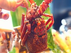-Mr.Fish鱼鲜生海鲜放题(高德置地冬广场店)