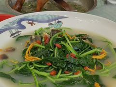 -绿雅居原生态农庄(小涌店)
