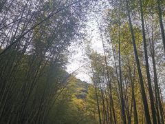 -午潮山国家森林公园