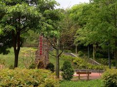 -王借岗森林公园