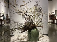 -山东博物馆