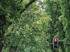 -重庆十八梯传统风貌区