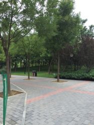 -大望京儿童游乐场