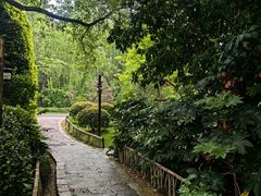 -乌镇西栅景区-月老庙