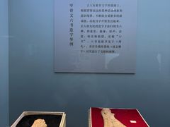 -安阳博物馆