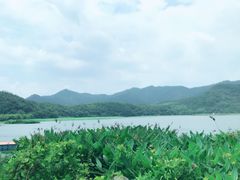 -青岛海尔洲际酒店