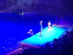 -芜湖新华联大白鲸海洋公园